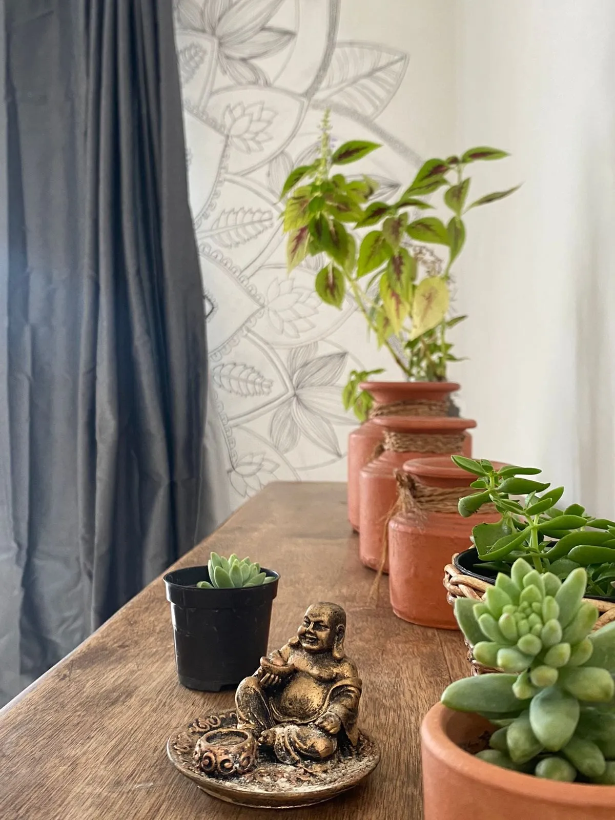Detalhe de decoração com plantas e Buda