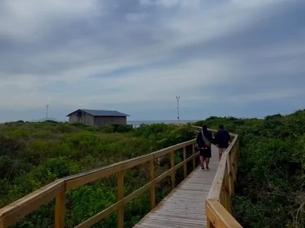 Passarela de madeira sobre a vegetação de restinga, perto da praia em Ingleses Norte